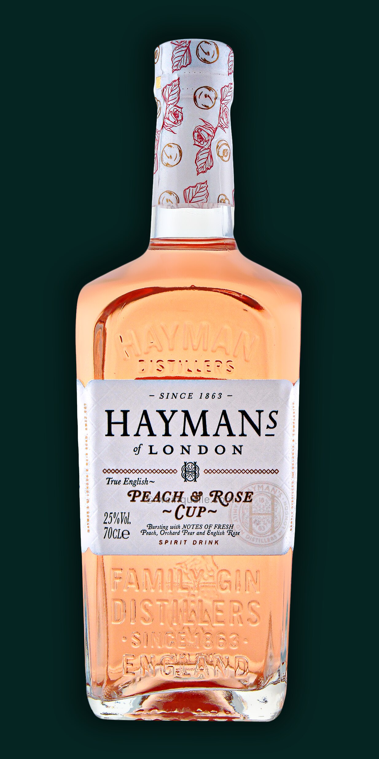 Hayman\'s Peach Cup, Lühmann - Rose 26,90 & Weinquelle €